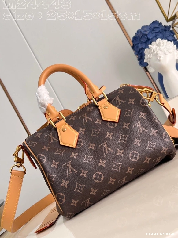 Official oldcobbler SPEEDY Louis Vuitton 25 0815